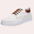 MEN'S LOW - TOP CANVAS LACE - UP SUMMER SNEAKERS - Zarino Newstyle