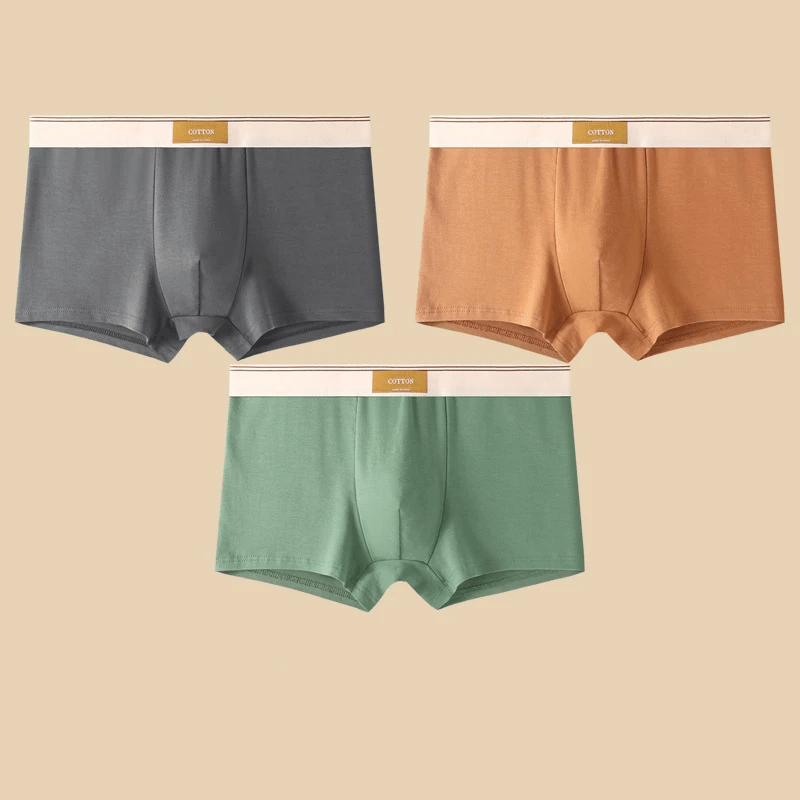 MEN'S SUMMER BOXER BRIEF SET - Zarino Newstyle