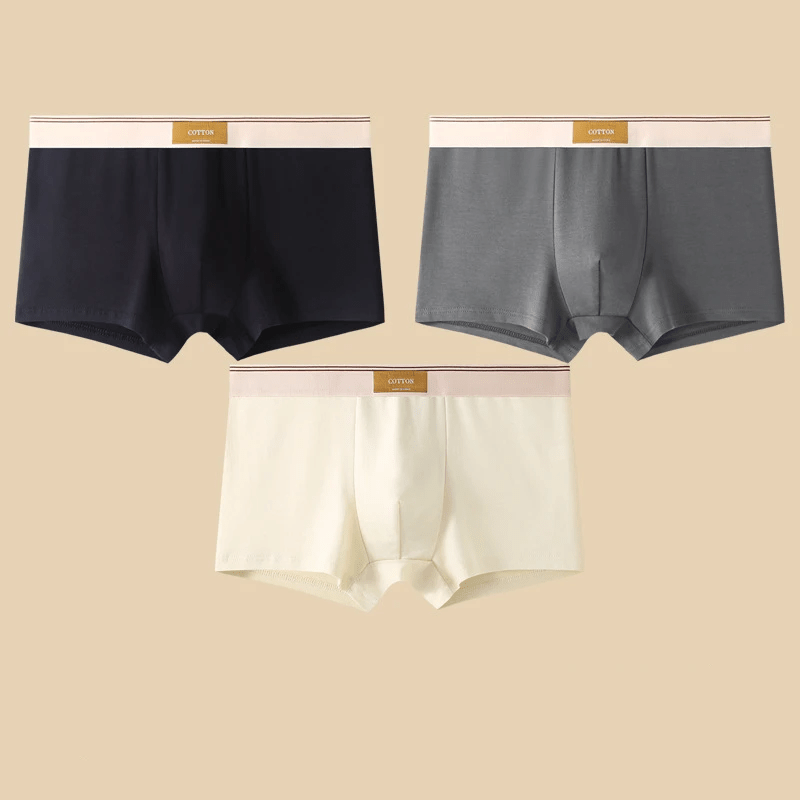 MEN'S SUMMER BOXER BRIEF SET - Zarino Newstyle
