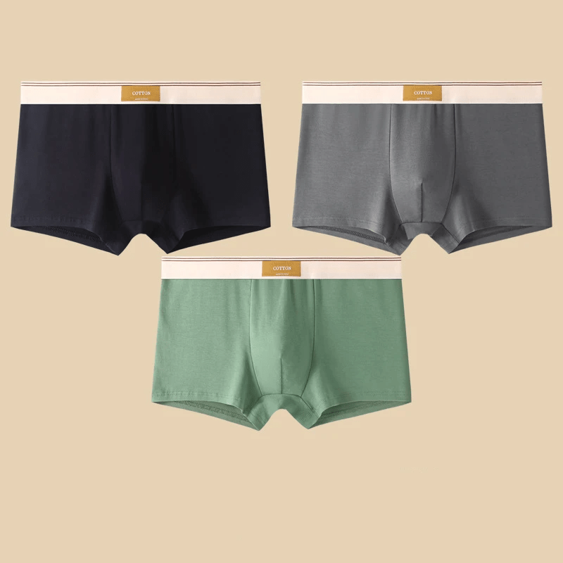 MEN'S SUMMER BOXER BRIEF SET - Zarino Newstyle