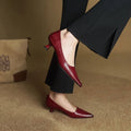 WOMEN'S POINTED TOE STILETTO HEELS - Zarino Newstyle