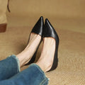 WOMEN'S POINTED TOE STILETTO HEELS - Zarino Newstyle