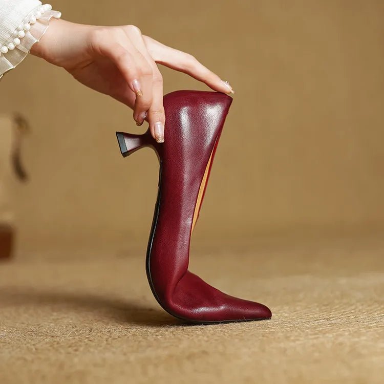 WOMEN'S POINTED TOE STILETTO HEELS - Zarino Newstyle