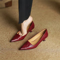 WOMEN'S POINTED TOE STILETTO HEELS - Zarino Newstyle