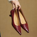 WOMEN'S POINTED TOE STILETTO HEELS - Zarino Newstyle