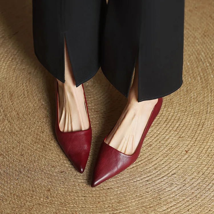 WOMEN'S POINTED TOE STILETTO HEELS - Zarino Newstyle